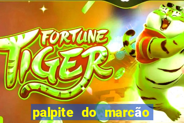 palpite do marcão jogo do bicho