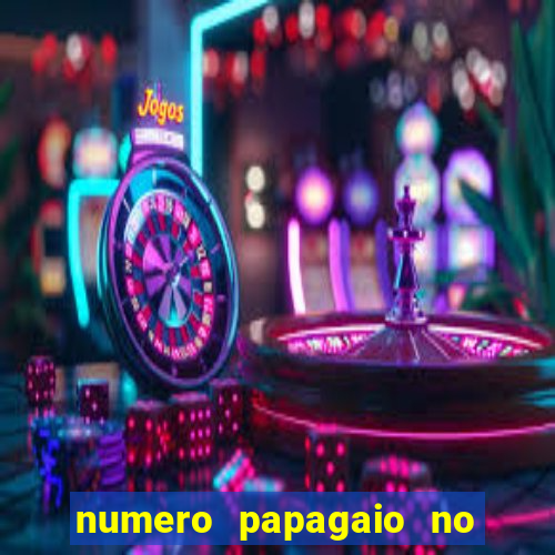 numero papagaio no jogo do bicho