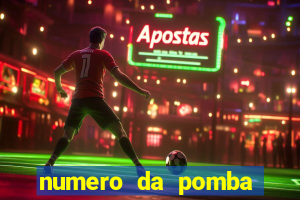 numero da pomba jogo do bicho