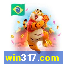 win317.com