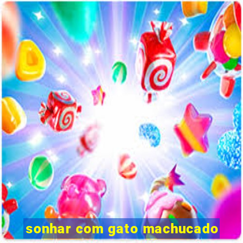 sonhar com gato machucado