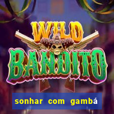 sonhar com gambá jogo do bicho