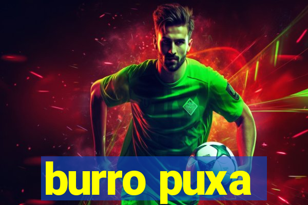 burro puxa