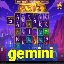 gemini-pp.com