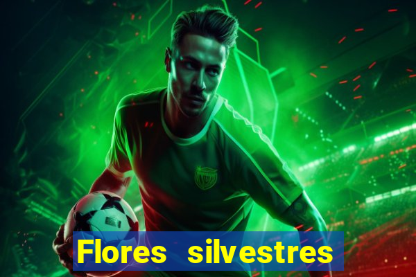 Flores silvestres brasileiras 25