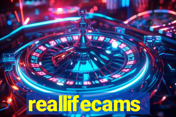 reallifecams