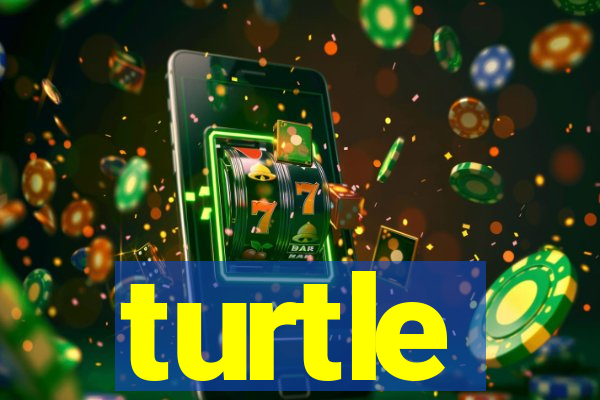 turtle-ty.com